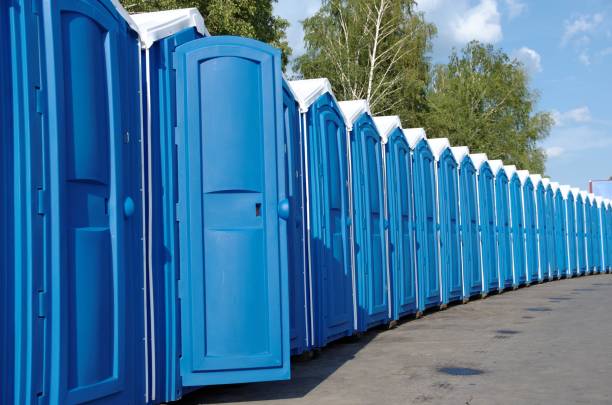 Best Portable bathroom rental  in Mcnary, AZ